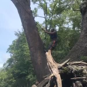 Meet your Posher, Rayshawn